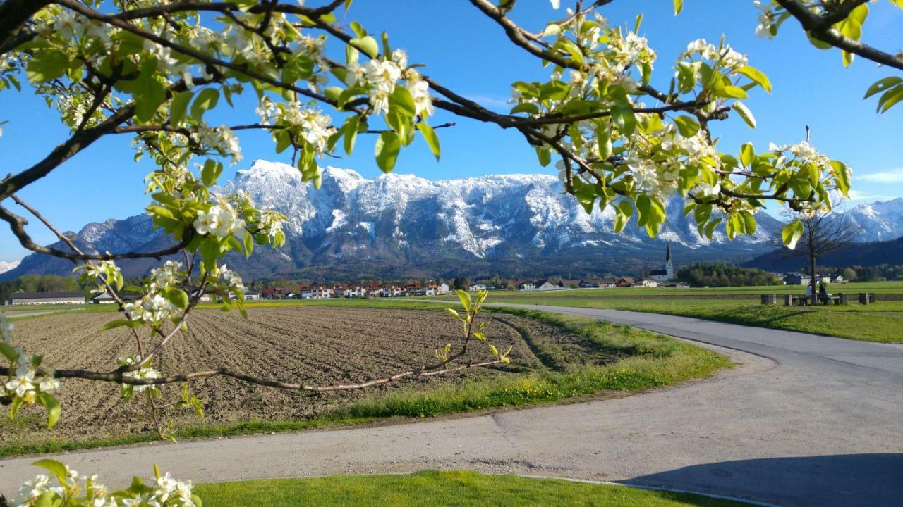 Vor Den Toren Salzburgs Wals-Siezenheim Екстериор снимка